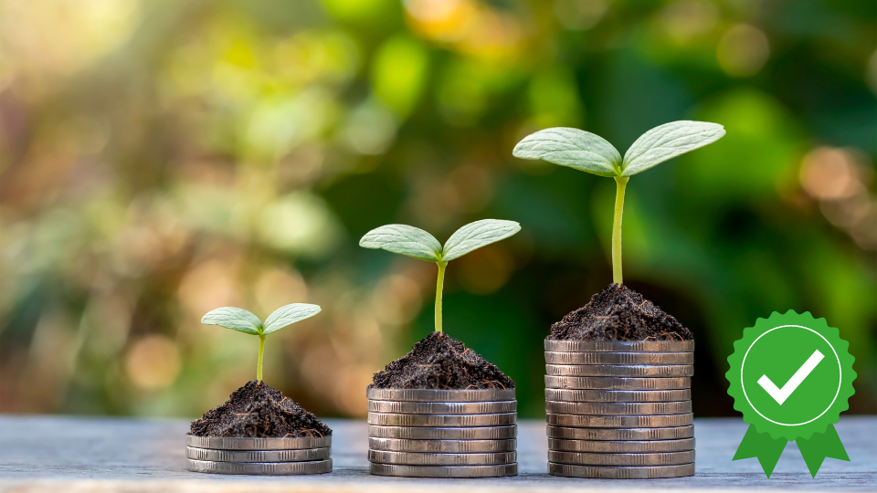 Systèmes financiers et bancaires - Les marchés financiers